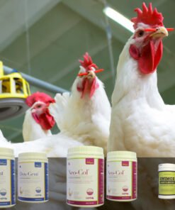 مستلزمات الادوية